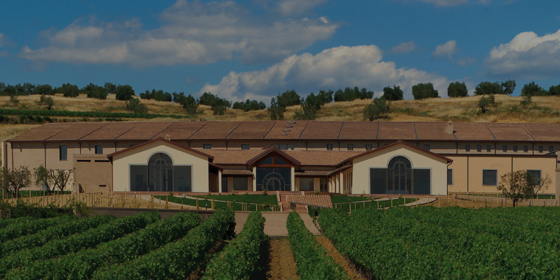 Famiglia Cotarella: l’eleganza del centro Italia tra storia, innovazione e nuove generazioni