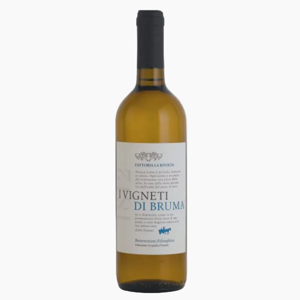 Falanghina Terre Di Bruma IGP 2020